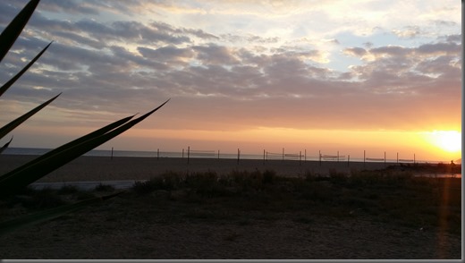 Capvespre Reflexió Rosa López #PasionConTinta