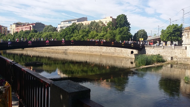 Temps de Flors Girona #PasionConTinta 2017