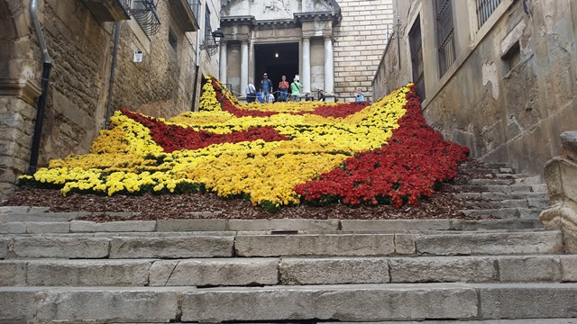 Art floral i creativitat_Temps de flors 2017_11