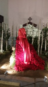 Temps de Flors Girona #PasionConTinta 2017_3