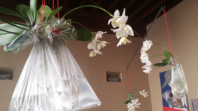 Art floral i creativitat_Temps de flors 2017_25