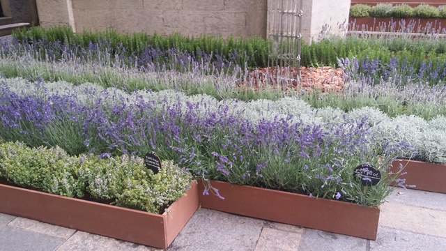 Art floral i creativitat_Temps de flors 2017_28