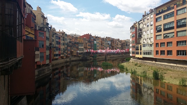 Art floral i creativitat_Temps de flors 2017_34