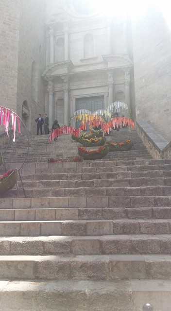 Art floral i creativitat_Temps de flors 2017_36