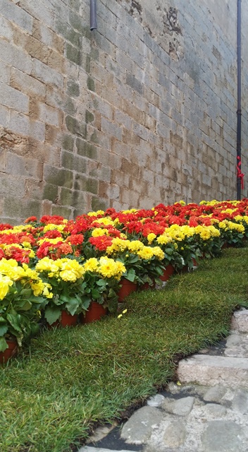 Art floral i creativitat_Temps de flors 2017_39