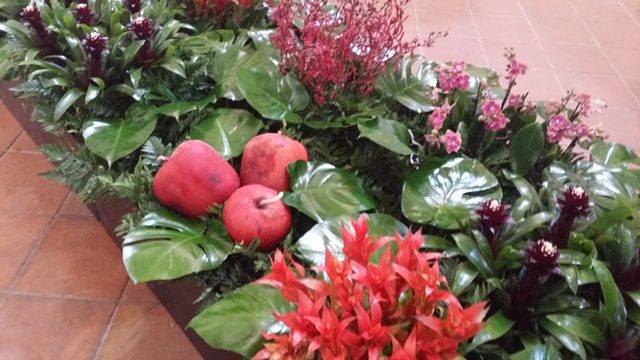 Art floral i creativitat_Temps de flors 2017_4