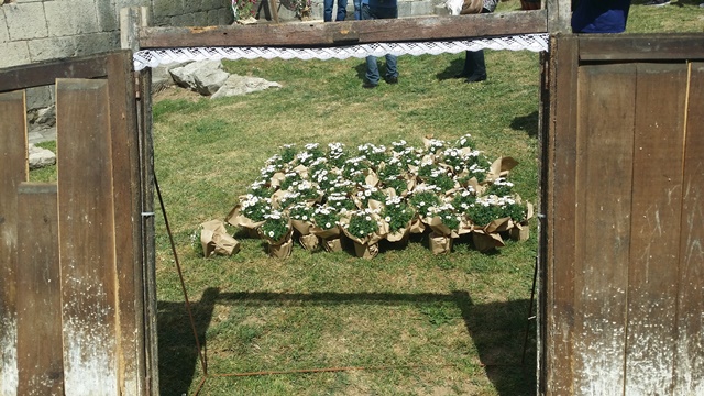 Art floral i creativitat_Temps de flors 2017_46