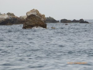 Fotografia costanera amb roques emergents, mar tranquil i cel ennuvolat