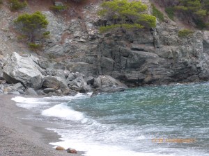 Fotografia costanera amb penya-segats, arbres i onades sobre sorra fosca o grava