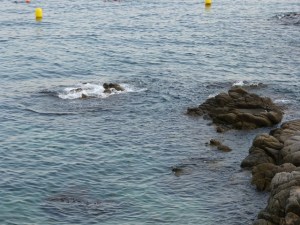 Costa de Calella amb roques i onades suaus en aigües clares