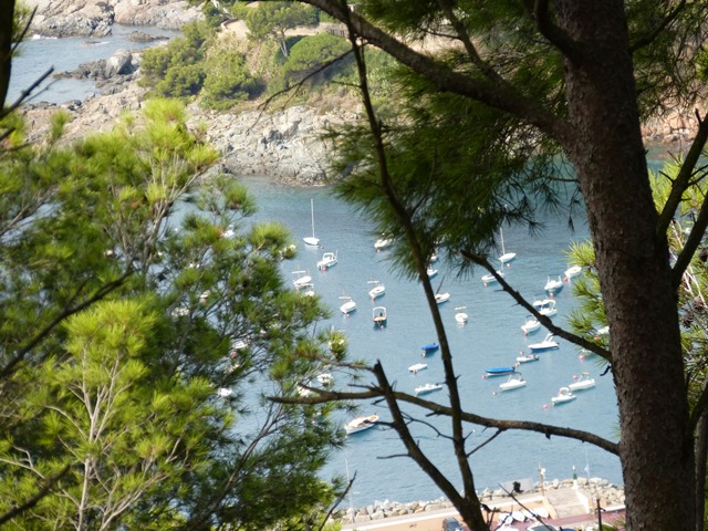 Vista des del Far de Sant Sebastià amb badia plena de barques, turons verds i edificis residencials