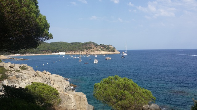 Vista de Cala de la Fosca amb platja, roques, arbres en primer pla i edificis al fons