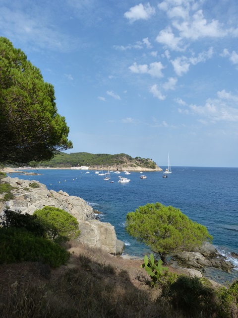 Vista costanera amb roques, mar blau, vegetació en primer pla i una illa al fons