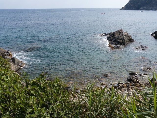 Vista costanera amb roques, vegetació en primer pla, una barca i una illa al fons