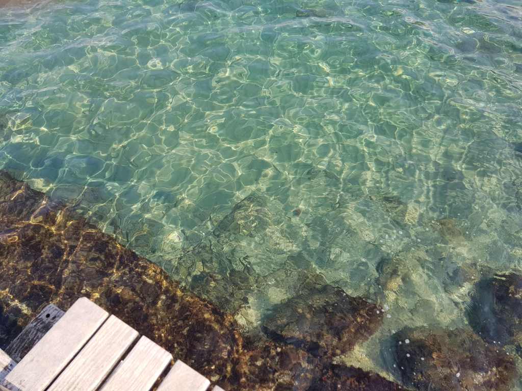 Peixos nedant en aigües transparents amb plataforma de fusta al cantó inferior