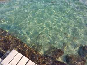 Peixos nedant en aigües transparents amb plataforma de fusta al cantó inferior