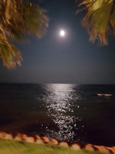 Lluna plena sobre el mar a Sitges amb reflexos nocturns i vegetació al primer pla