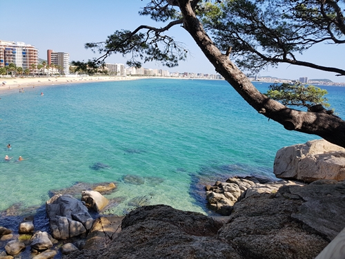 Observa bellesa del mar a través de la galeria fotográfica a la web de Rosa López. Deixa't inspirar per la seva passió! #PasionConTinta #Comunicacio #Fotografia  De Palamós a Sant Antoni de Calonge 2