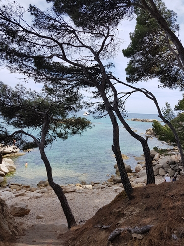 Gaudeix de la bellesa del mar a través de la galeria fotográfica sobre el mar a la web de Rosa López. Deixa't inspirar per la seva passió! #PasionConTinta #Comunicacio #Fotografia Sant Antoni de Calonge, camí de Ronda 3