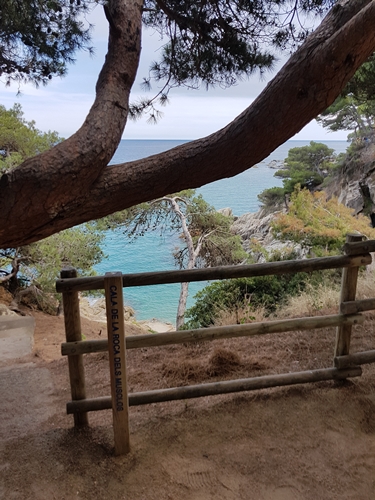 Gaudeix de la bellesa del mar a través de la galeria fotográfica sobre el mar a la web de Rosa López. Deixa't inspirar per la seva passió! #PasionConTinta #Comunicacio #Fotografia Sant Antoni de Calonge, camí de Ronda 5