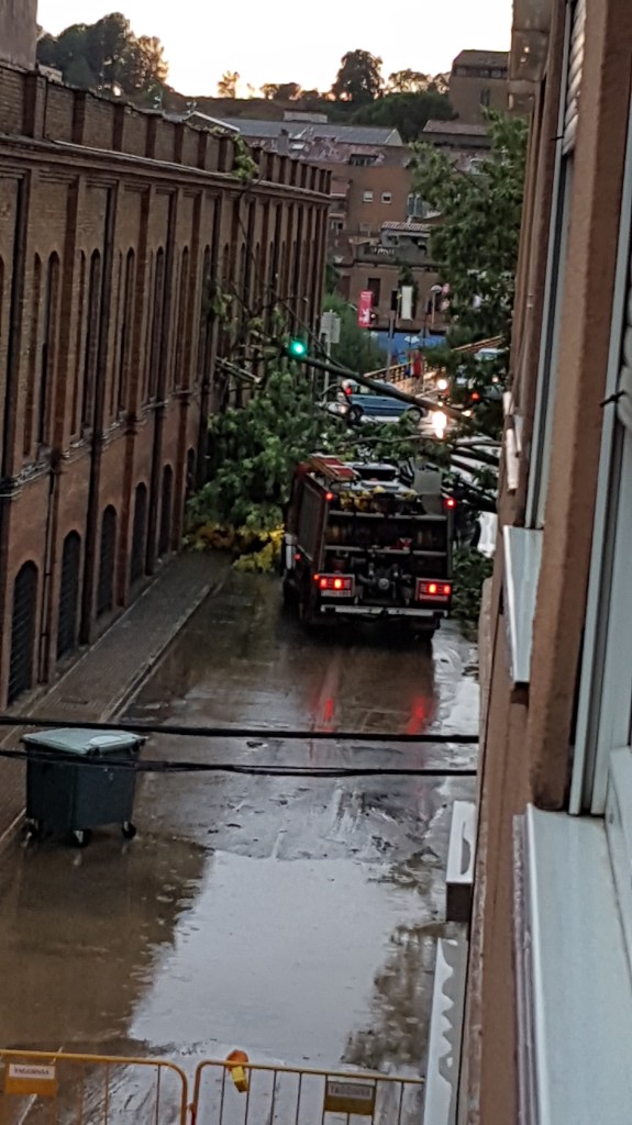 Arbre caigut colapsa la via pública a Rubí 2 #PasionConTinta #Comunicacio