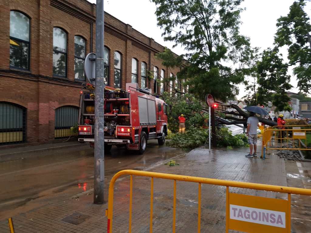 Arbre caigut colapsa la via pública a Rubí 4 #PasionConTinta #Comunicacio