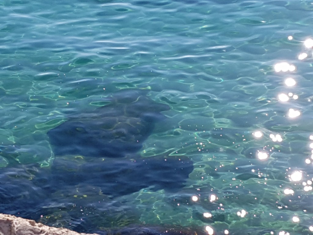 El mar_fotografia_#PasionConTinta 2