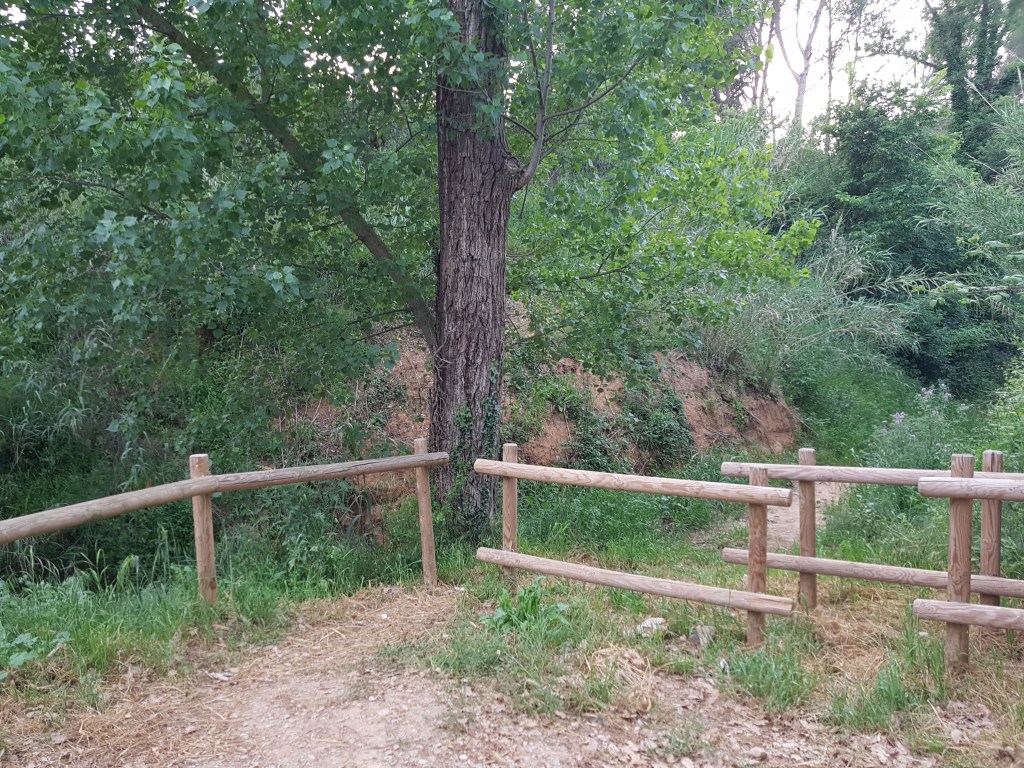 Covid -19 Crònica  1#JoEmQuedoACasa #PasionConTinta #Comunicacio