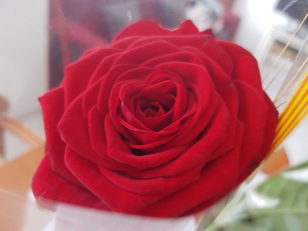 Covid -19 Crònica 6#JoEmQuedoACasa #PasionConTinta #Comunicacio