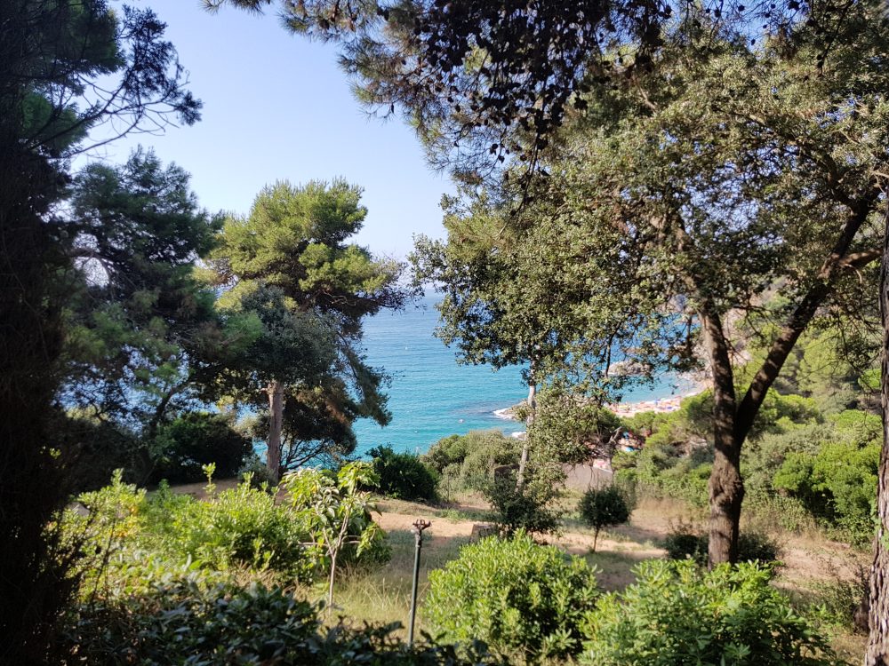Camí entre arbres amb vista al mar als Jardins de Santa Clotilde