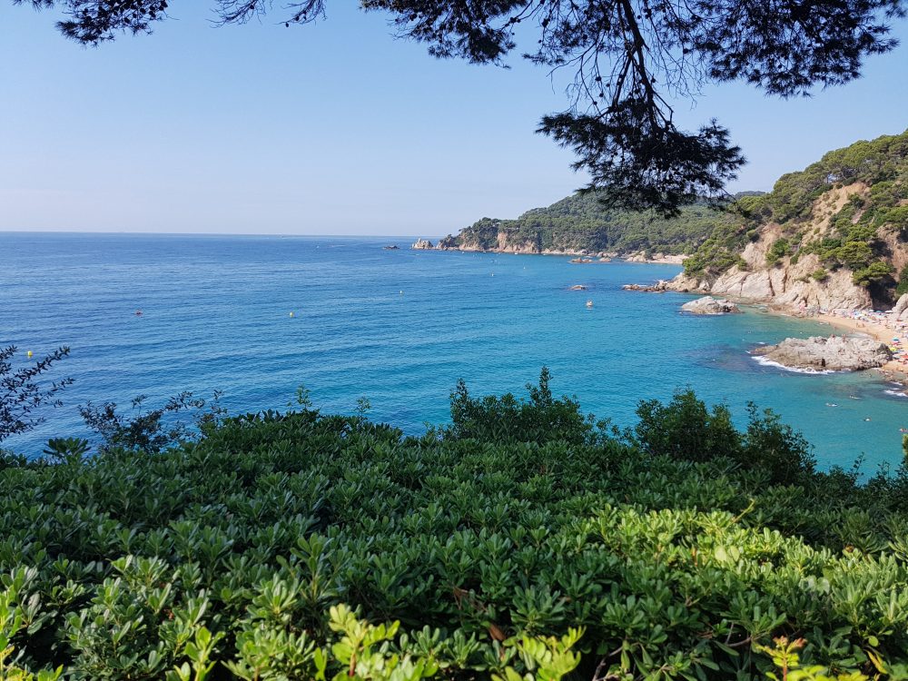 Costa amb mar turquesa, roques i vegetació als Jardins de Santa Clotilde