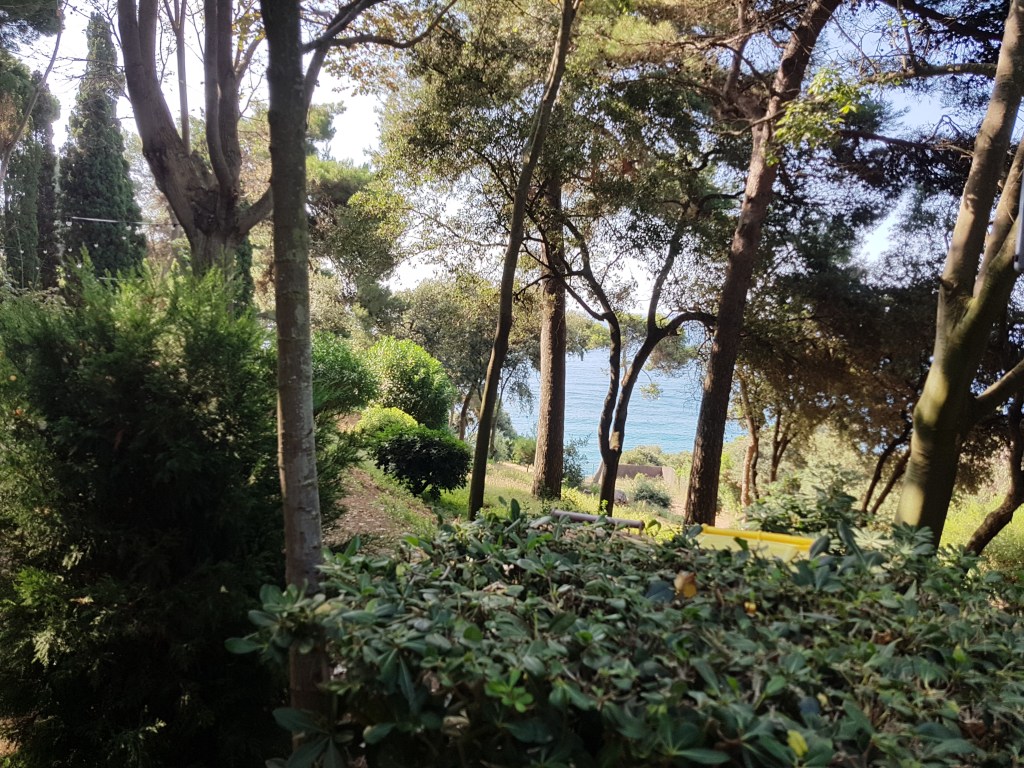 Vista del mar entre arbres alts i vegetació frondosa als Jardins de Santa Clotilde