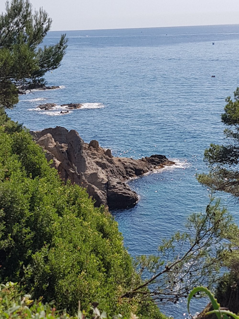Vista costanera amb roques, arbres i mar blau als Jardins de Santa Clotilde