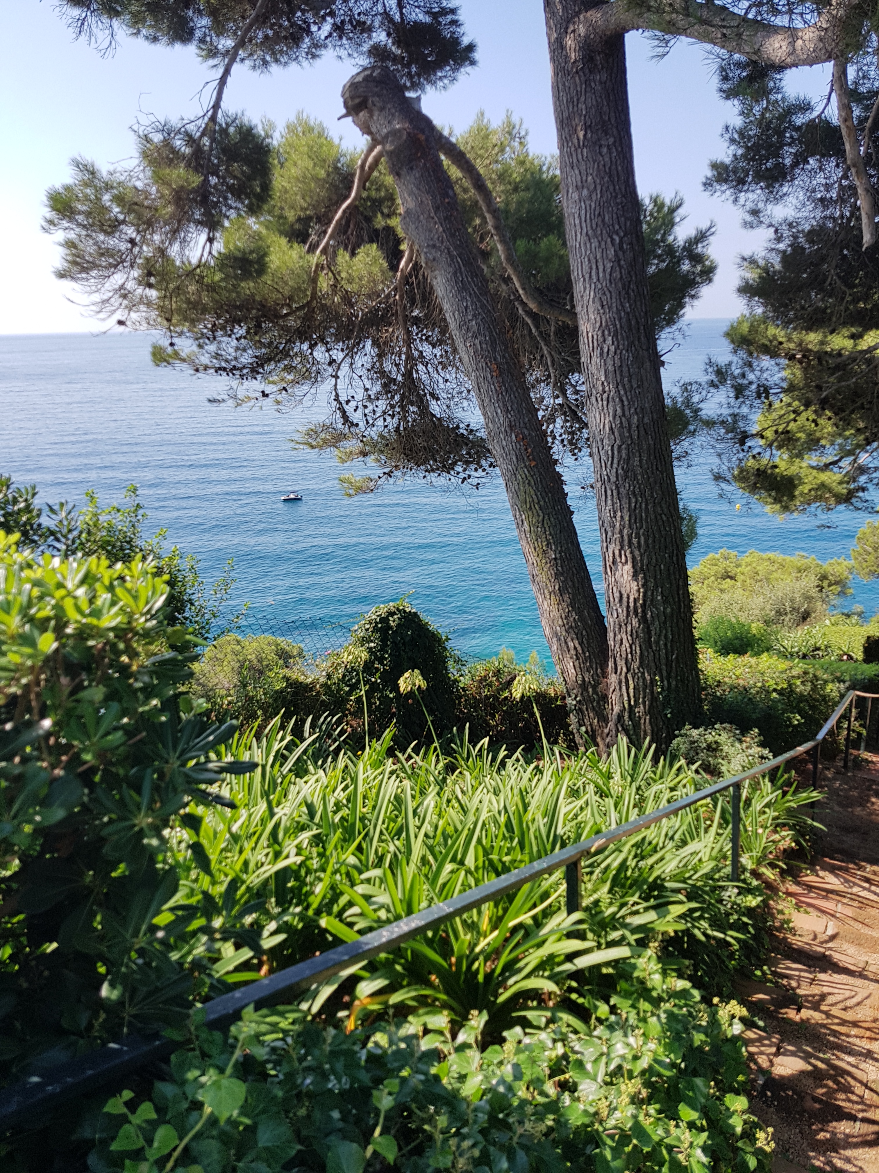 Jardins amb arbres i vegetació davant del mar blau a Santa Clotilde