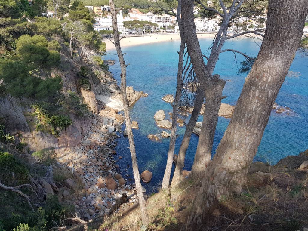 Camí de Ronda de Calella a Palafrugell Explora la bellesa del mar a través de la fotografia a la web de Rosa López. Deixa't inspirar per la seva passió! #PasionConTinta #Comunicacio #Fotografia 