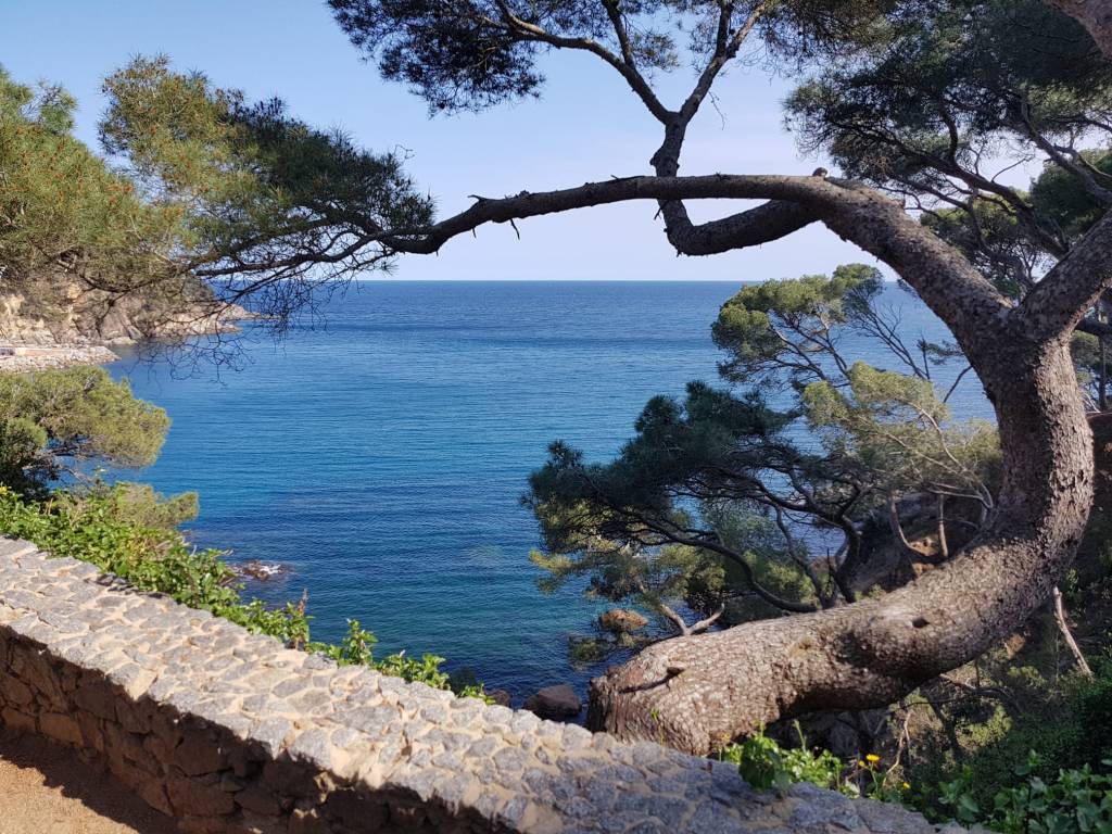 Camí de Ronda de Calella a Palafrugell  1Explora la bellesa del mar a través de la fotografia a la web de Rosa López. Deixa't inspirar per la seva passió! #PasionConTinta #Comunicacio #Fotografia 
