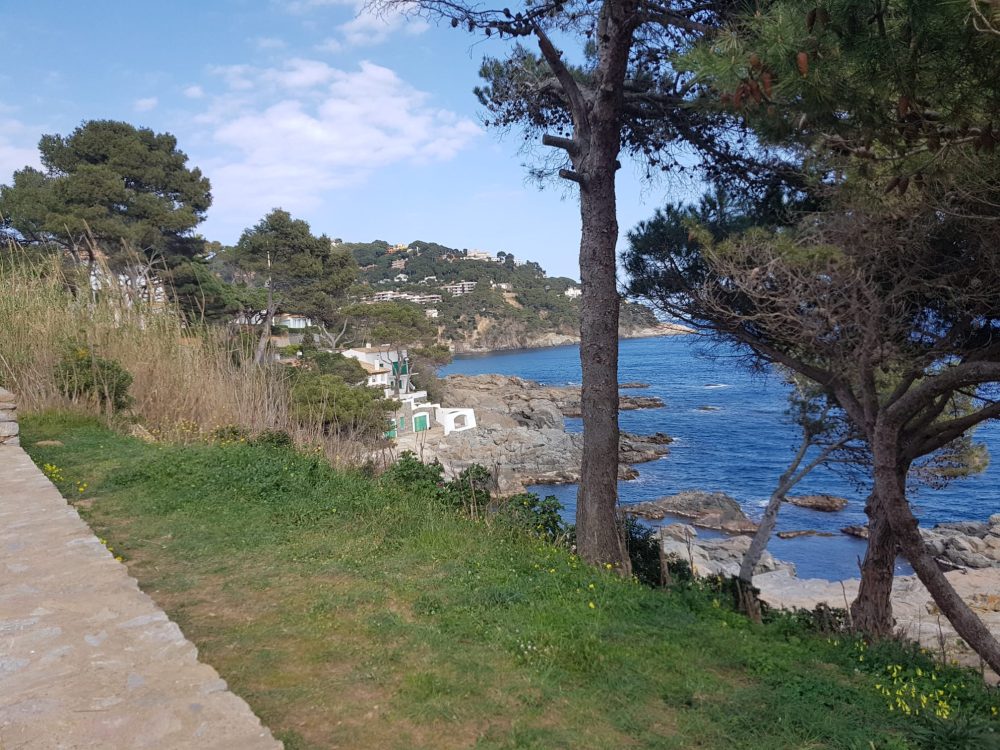 Vista costanera amb arbres, edificis i mar a Calella de Palafrugell