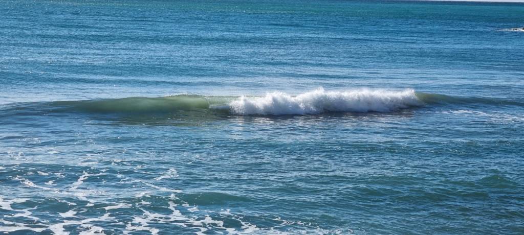 Explora la bellesa del mar a través de la fotografia a la web de Rosa López. Sitges 17 Deixa't inspirar per la seva passió! #PasionConTinta #Comunicacio #Fotografia 