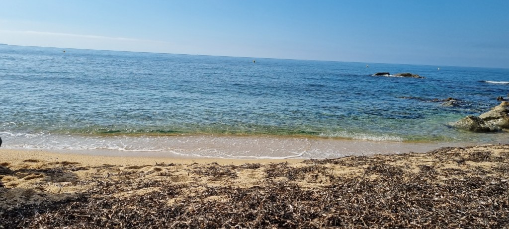 Gaudeix de la bellesa del mar a través de la galeria fotográfica sobre el mar a la web de Rosa López. Deixa't inspirar per la seva passió! #PasionConTinta #Comunicacio #Fotografia Cala Cap Roig 11