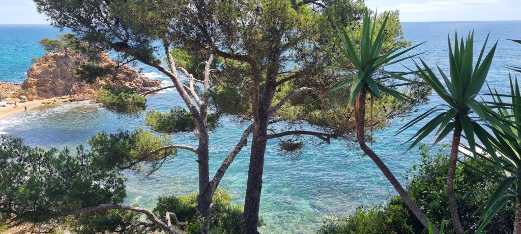 Gaudeix de la bellesa del mar a través de la galeria fotográfica sobre el mar a la web de Rosa López. Deixa't inspirar per la seva passió! #PasionConTinta #Comunicacio #Fotografia Cala Cap Roig 2