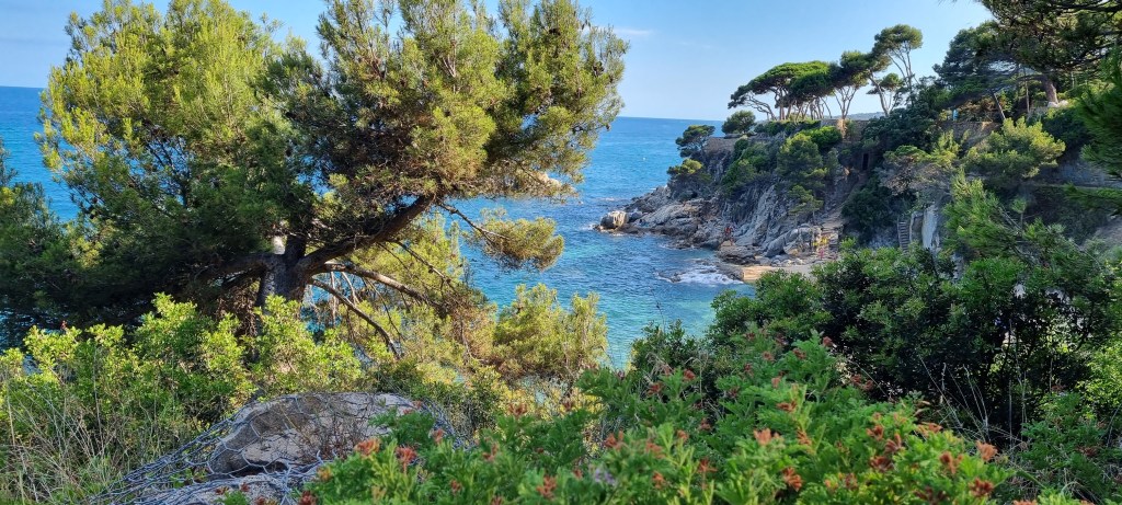 Gaudeix de la bellesa del mar a través de la galeria fotográfica sobre el mar a la web de Rosa López. Deixa't inspirar per la seva passió! #PasionConTinta #Comunicacio #Fotografia Cala Cap Roig 7