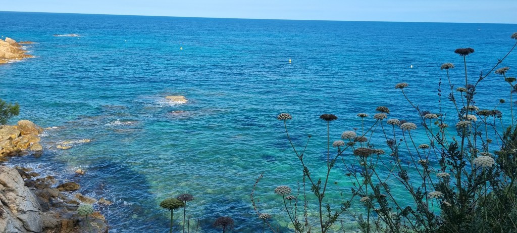 Gaudeix de la bellesa del mar a través de la galeria fotográfica sobre el mar a la web de Rosa López. Deixa't inspirar per la seva passió! #PasionConTinta #Comunicacio #Fotografia Cala Cap Roig 9