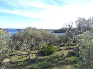 
Explora la bellesa del mar a través de la fotografia a la web de Rosa López. Deixa't inspirar per la seva passió! #PasionConTinta #Comunicacio #Fotografia #Portlligat #Cadaques 9