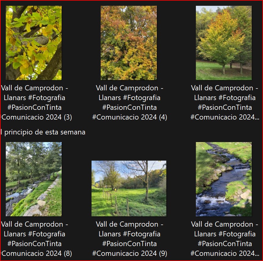 Vall de Camprodon - Llanars Fotografies de tardor en gran qualitat descarregables en PDF #Fotografia #PasionConTinta #Comunicacio 2024