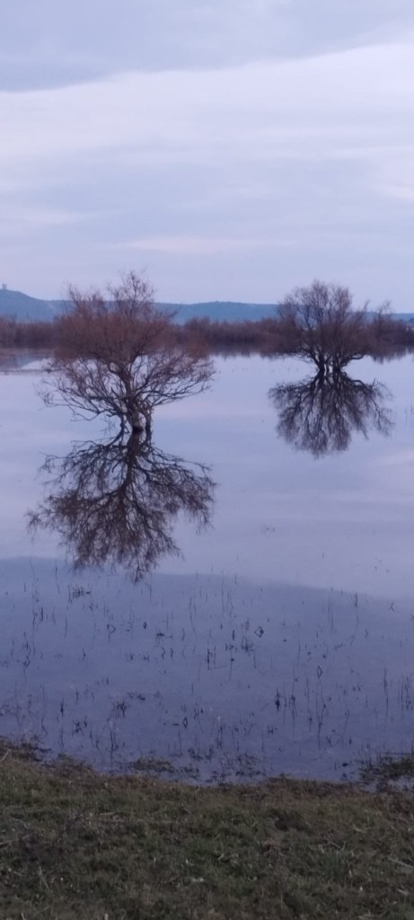 Adela Luque  Horizonte #PersonesHumanes 2025 #PasionConTinta